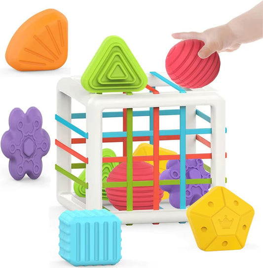 Montessori Toy